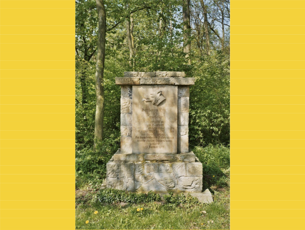 11-Gefahren.jpg (1003 x 757)